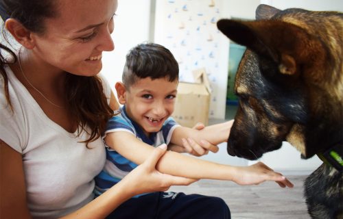 Keď pes lieči. Canisterapia v centre na Spiši pomáha deťom rozvíjať empatiu a odbúrať napätie