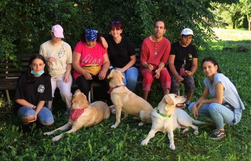 Študenti kynológie získavajú skúsenosti v teréne: so psami pomáhajú opusteným seniorom aj deťom s autizmom