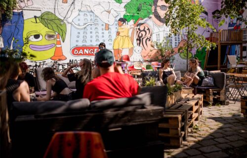 Vertikálne záhrady v košickej Tabačke chcú inšpirovať k zvyšovaniu kvality života ľudí v mestách